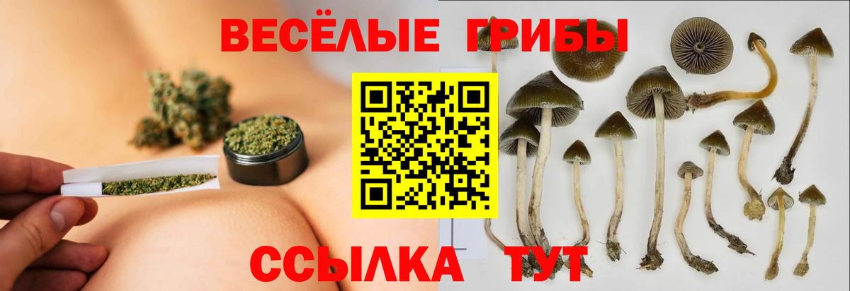 Кудрово  Псилоцибиновые грибы GOLDEN TEACHER  Вход с VPN 